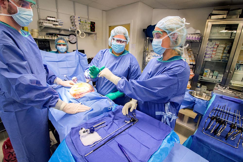 Surgical procedure in operating room